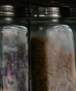 Spice Market Walk with a Spice Cocktail Making Workshop