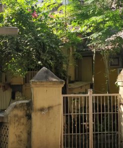 The Secret Village in Mumbai: Matharpacady