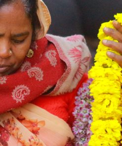 The Great Exotic Flower Tour