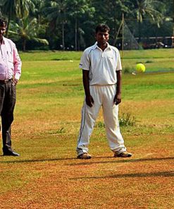 Mumbai Cricket Tour: A Love Affair with the Game