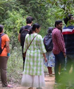 Birds and FLAMINGO- Watching Trail